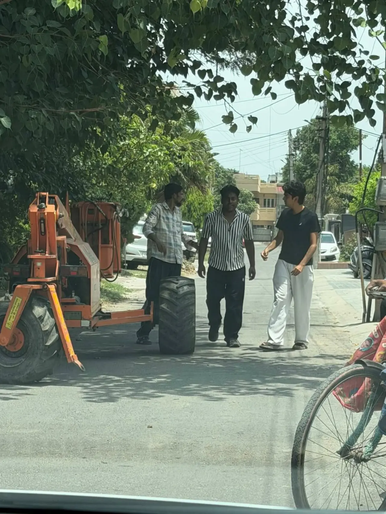 Councillor Parth Gupta: Tree Pruning Begins in Sector 17, Ward 6 — photo 2